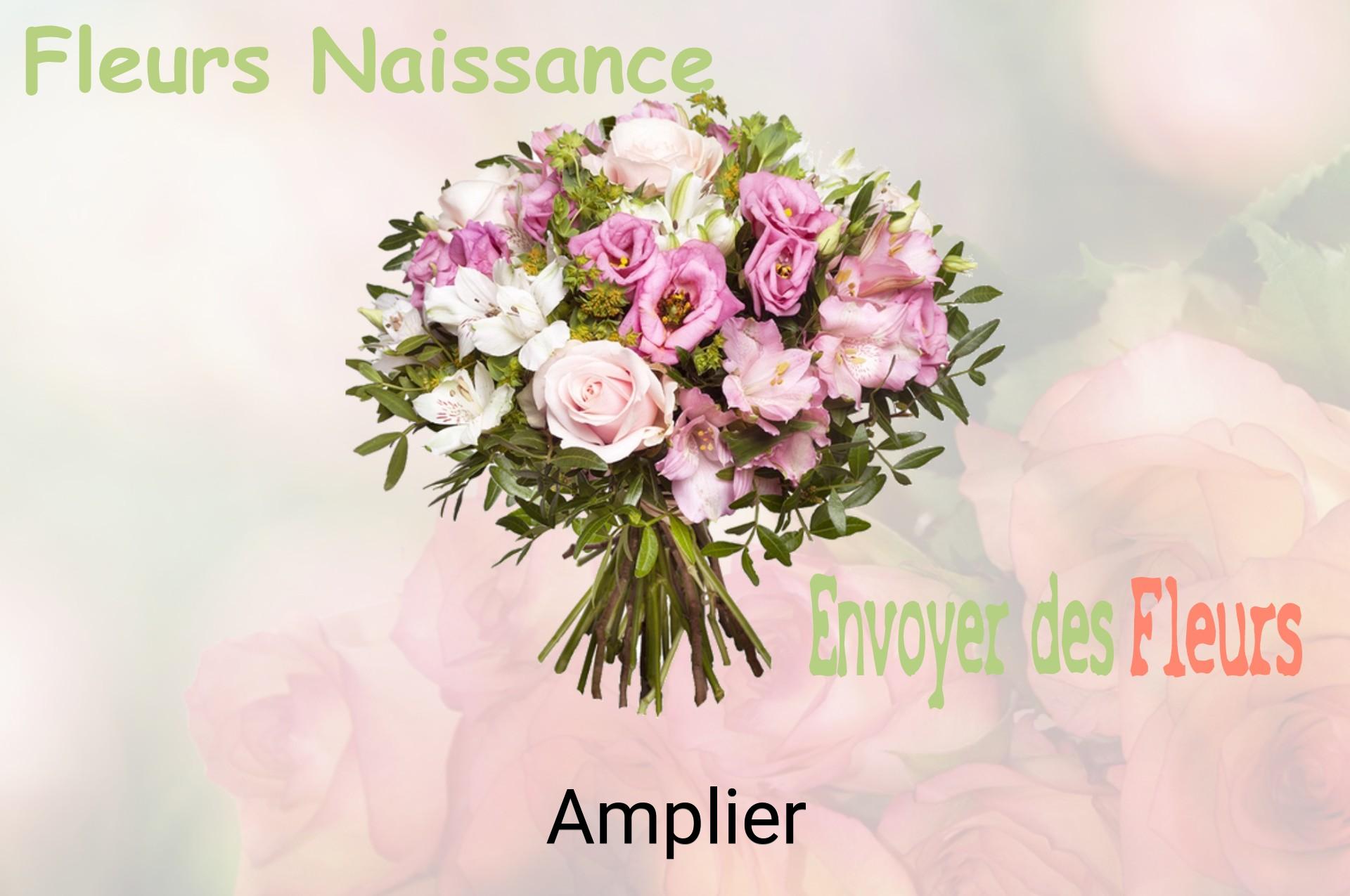 Bouquet de fleurs de naissance livré à Amplier